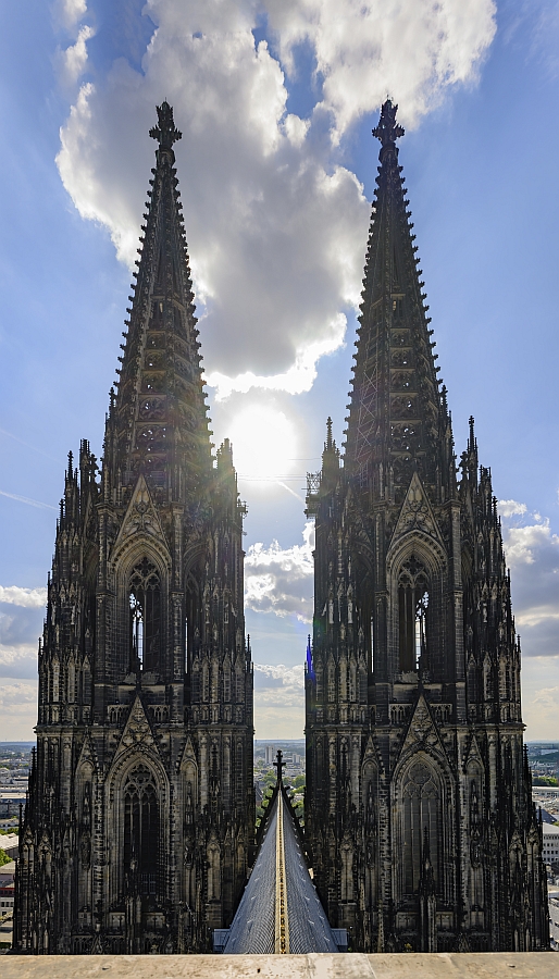Bild des Monats
